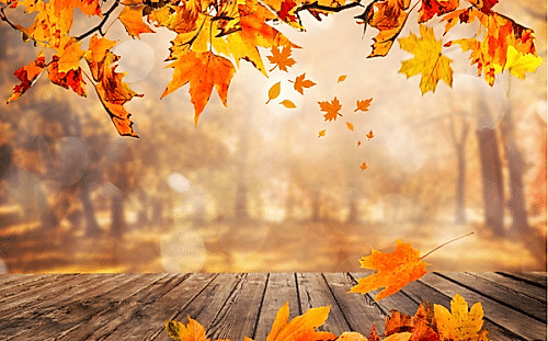 Sonbaharda Yapabileceğiniz Aktiviteler